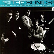 The Sonics - Here Are the Sonics!!!