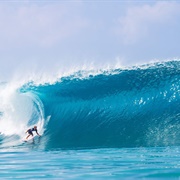 Surfing O'ahu's North Shore, Hawaii