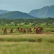 Samburu, Kenya