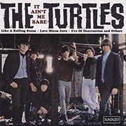 The Turtles - It Ain't Me Babe