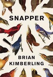 Snapper (Indiana)