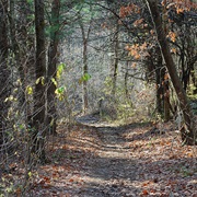 Georgetown-Rowley State Forest, Massachusetts