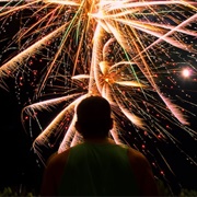 Watched Fireworks Alone