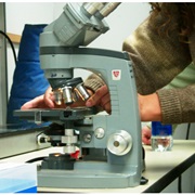 Used/Own a Microscope