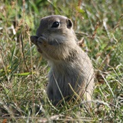 Balaton Uplands National Park, Hungary