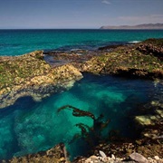 Santa Rosa Island, California