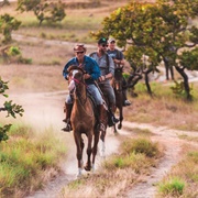 Saddle Mountain, Guyana