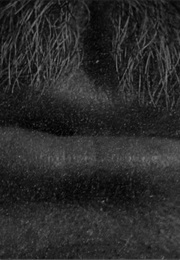 "Rosebud" Citizen Kane (1941)