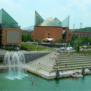 Tennessee Aquarium