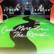 Lynyrd Skynyrd - One More For/From the Road