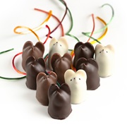 Chocolate Mice - New Hampshire