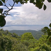 Brownsberg Nature Reserve &amp; Brokopondo, Suriname
