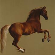 Whistlejacket