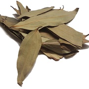 Country Cinnamon (Cinnamomum Malabatrum)