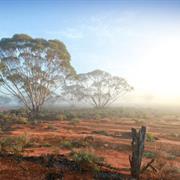 Murray Sunset National Park (VIC)