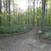 Maybury State Park, Michigan