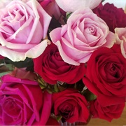 You're the King or Queen of Romantic Gestures.