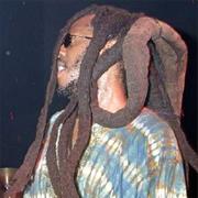 Matted Dreadlock Vibration