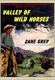 Valley of Wild Horses