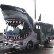 Shark Bus