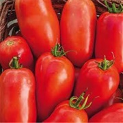 Roma Tomato