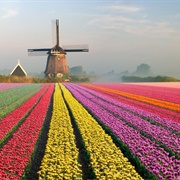 The Netherlands