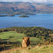 The West Highland Way