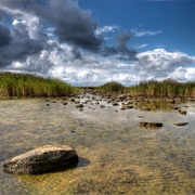 Vilsandi National Park, Estonia