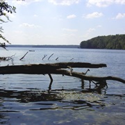 Lake Stechlin/ Stechlinsee