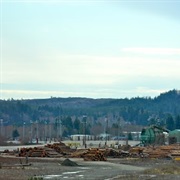 Cosmopolis, Washington