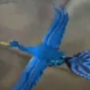 Garrick Ollivander's Peacock