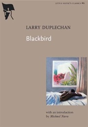 Blackbird (Larry Duplechan)