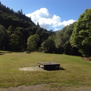 Whangaiterenga - Kauaeranga Valley