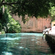 Yankari National Park