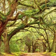 Johns Island, SC, USA