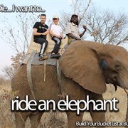 Ride an Elephant