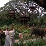 Swiss Family Robinson