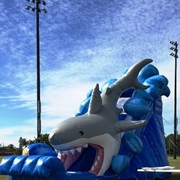 Shark Water Slide