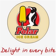 Polar Ice Cream