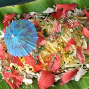 Chinese Hibiscus (Hibiscus Rosa-Sinensis)