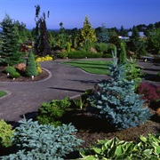 Oregon Garden