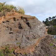 Te Tauoma / Purchas Hill