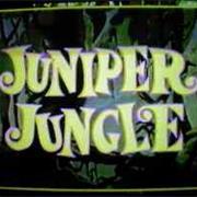 Juniper Jungle