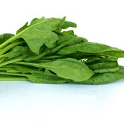 English Spinach