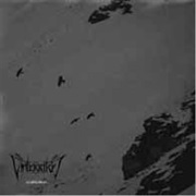 Vinterriket - Lichtschleier