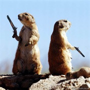 West Virginia: It's Illegal to Hold Office If You Had a Duel.