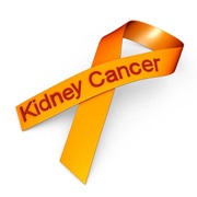 Kidney Cancer Awareness Month (March)
