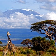 Mt. Kilimanjaro, Tanzania