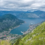 Kotor Serpentine