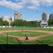 Labatt Memorial Park, London, Ontario